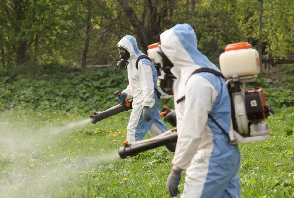 ФОТО Уничтожение клопов в Высоковске