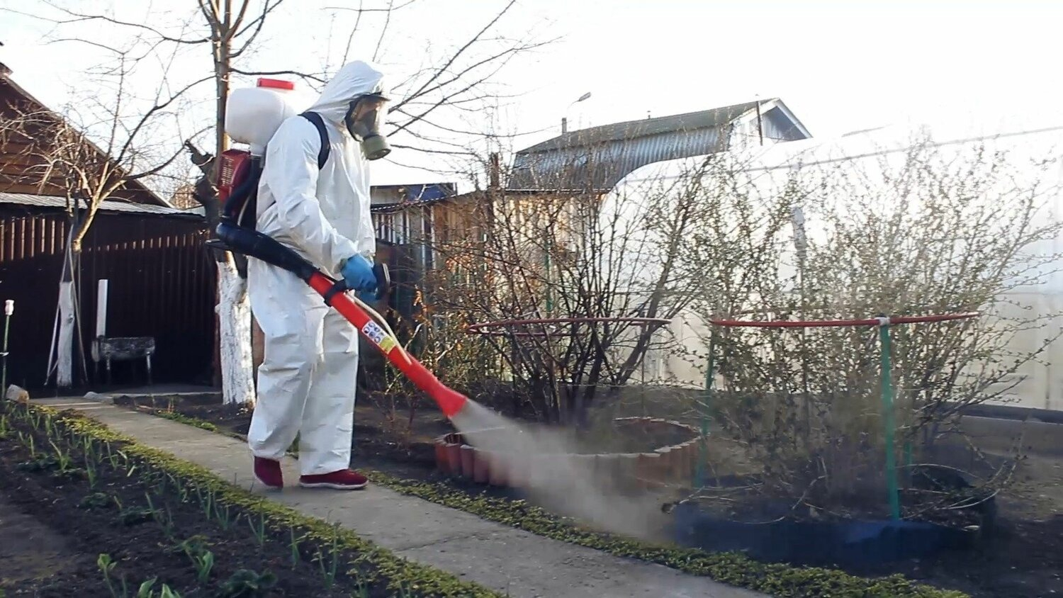 ФОТО Уничтожение муравьёв в Высоковске