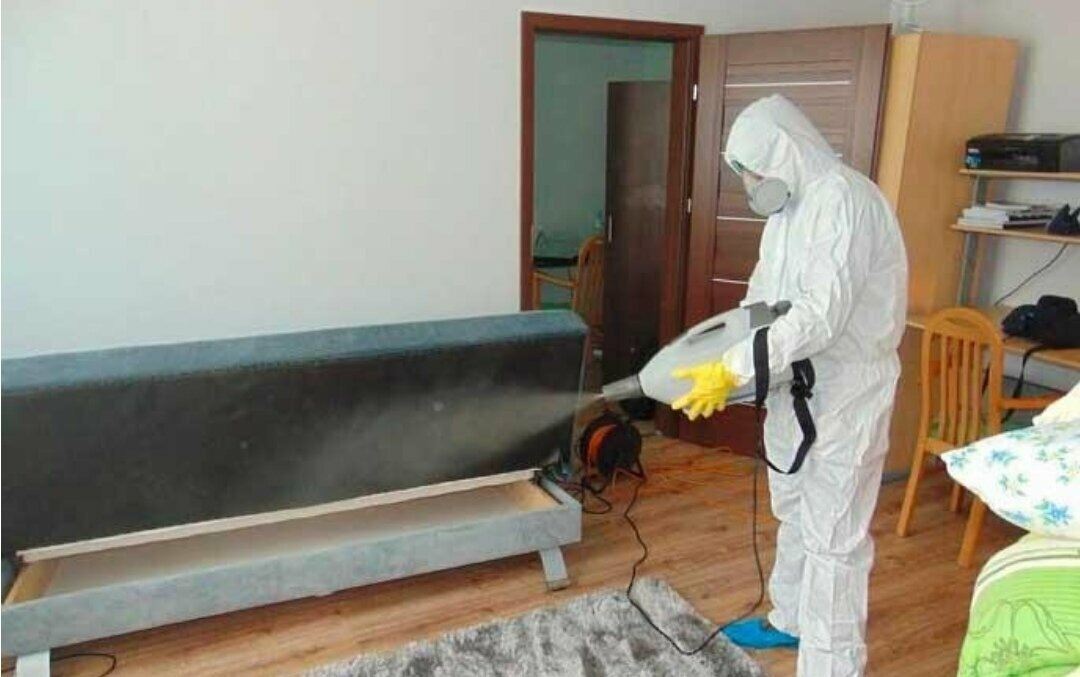 ФОТО Уничтожение блох в Высоковске