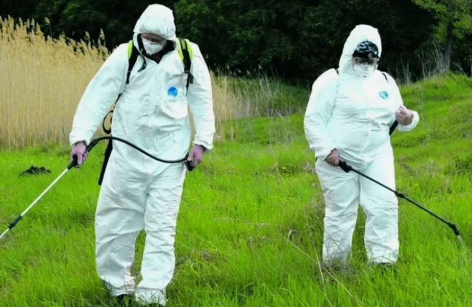 ФОТО Обработка от клещей в Высоковске