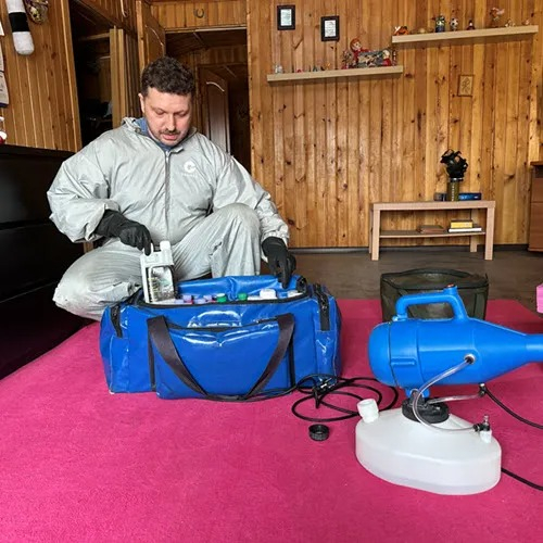 ФОТО Дератизация в Высоковске