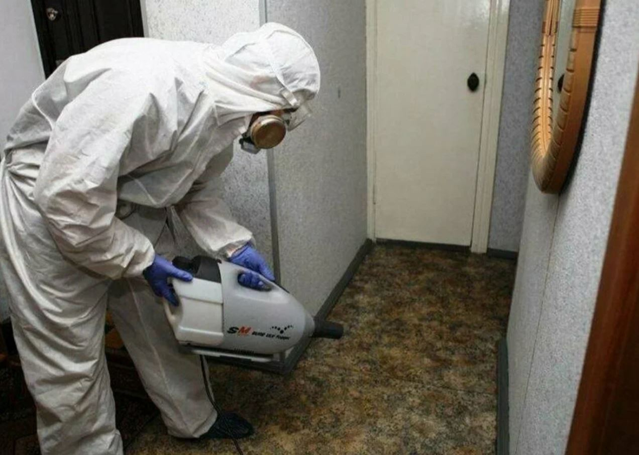 ФОТО Какие методы обработки для дезинсекции существуют в Высоковске? | подробно