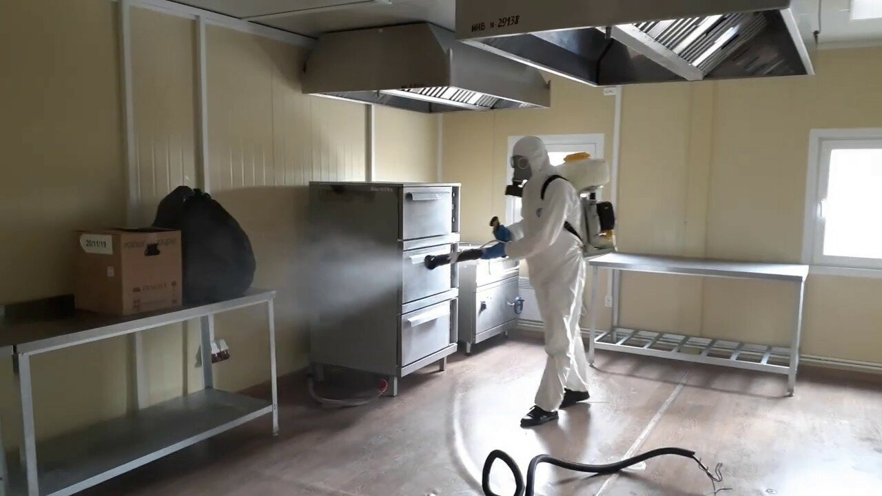 ФОТО Можно ли провести дезинсекцию самостоятельно и какие существуют риски в Высоковске? | подробно