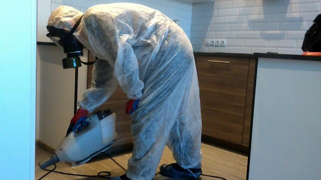 ФОТО Как подготовить домашних животных к обработке от насекомых в Высоковске? | подробно