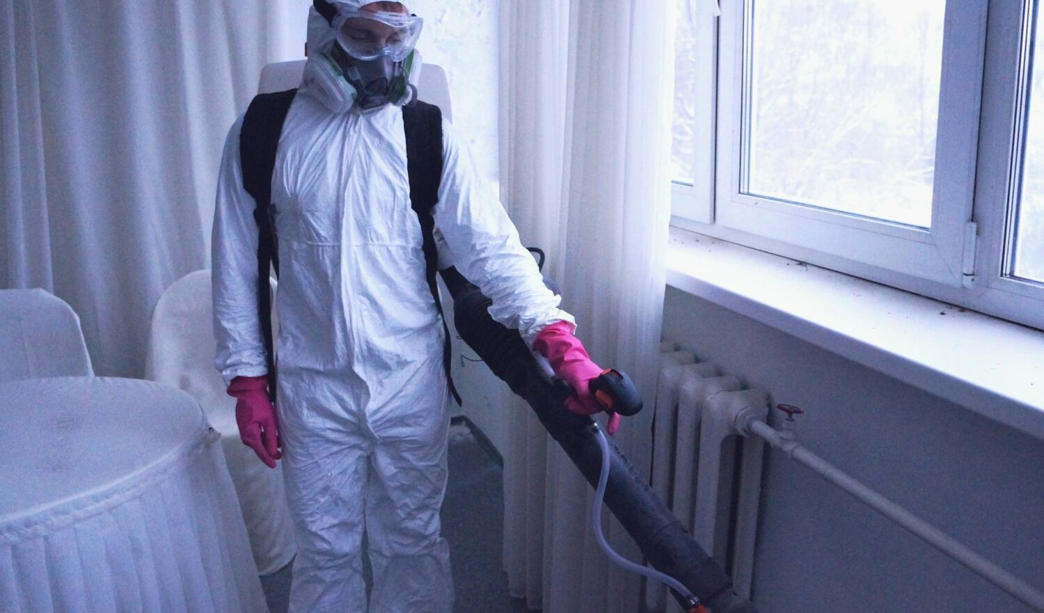 ФОТО Нужно ли выносить растения при дезинсекции в Высоковске? | подробно