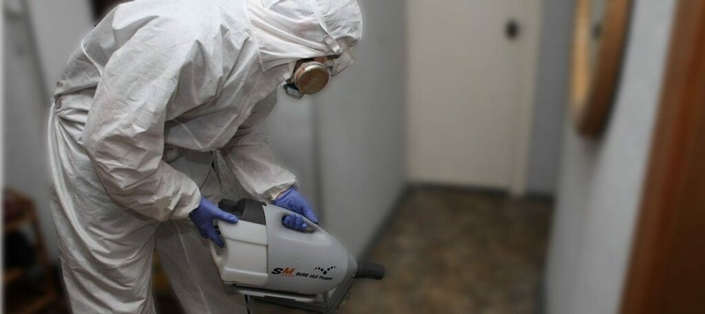 ФОТО Остаются ли следы после обработки квартиры от насекомых в Высоковске? | подробно