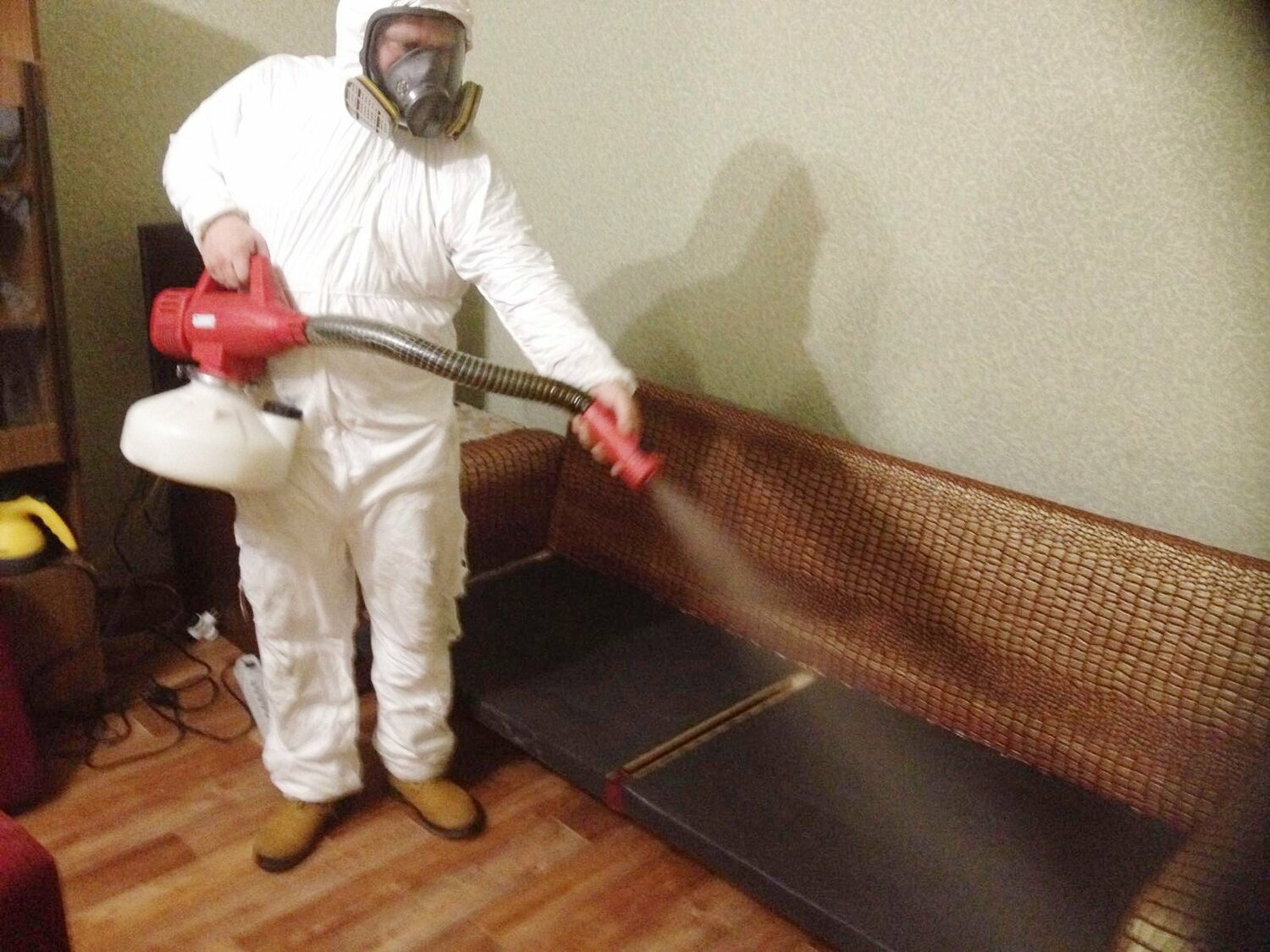 ФОТО Когда можно вернуться в помещение после дезинсекции в Высоковске? | подробно