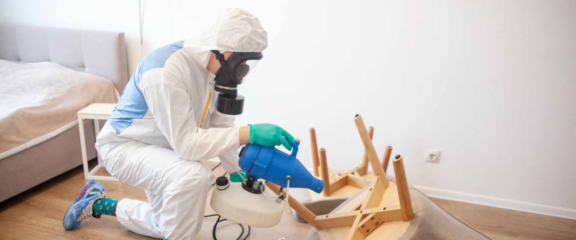 фото: Уничтожение постельных клопов с 1-го раза с гарантией за 30-60 мин. в Высоковске без предоплаты