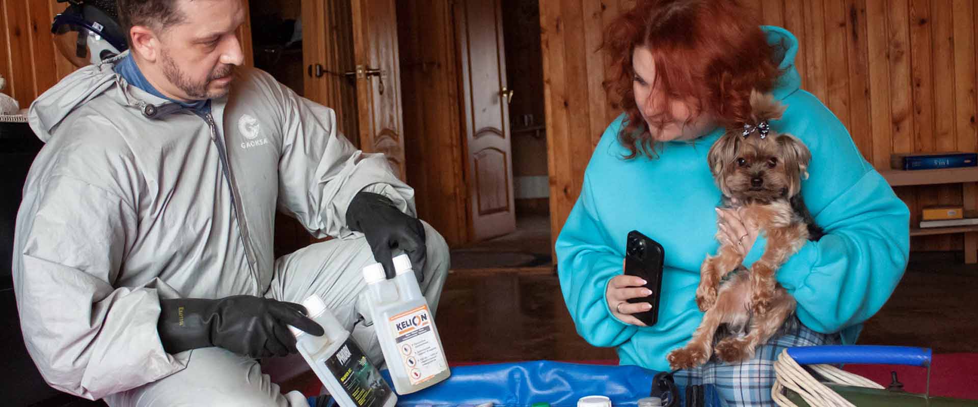 фото: Уничтожение блох в помещениях, домах и квартирах по Высоковске и области.